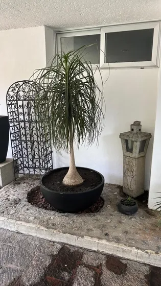 Cuarto Renta La Herradura