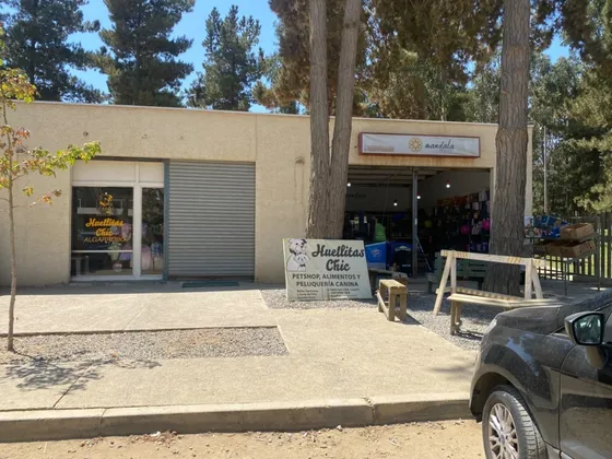 Excelente Local Comercial En Algarrobo 
