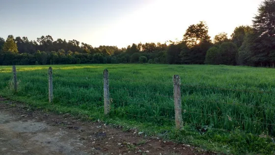 Parcela En Venta En Paillaco