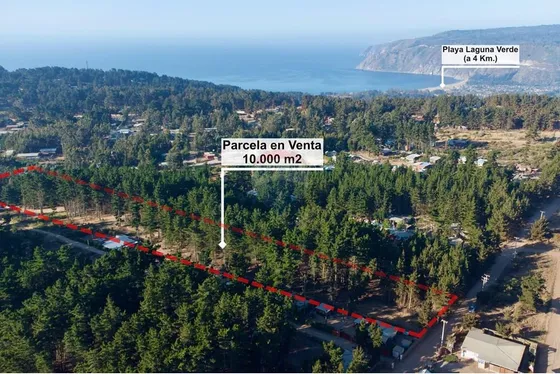 Excelente Parcela De 1 Hectárea En Laguna Verde