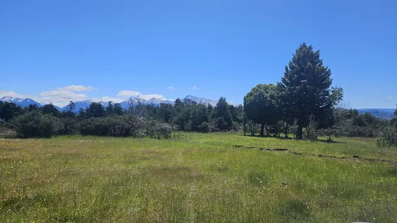 Río Pico