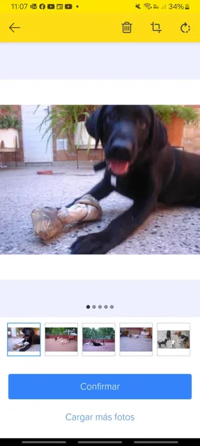 Guarderia Canina En Villa Urquiza 