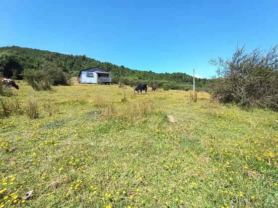 Venta De Terrenos De 5,8 Hectáreas Chadmo Central, Chiloé