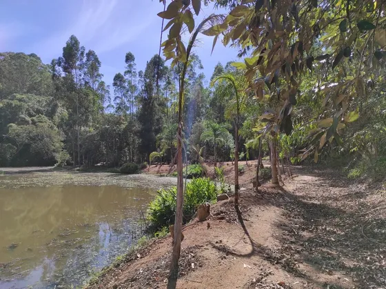 Sitio Em Atibaia - 8 Alqueires