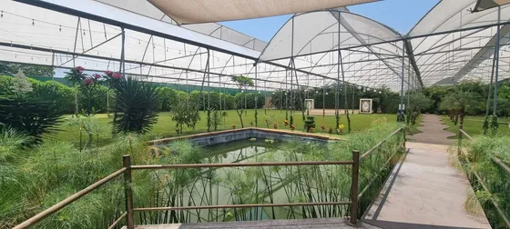 Divino Jardín De Eventos En Jiutepec Morelos