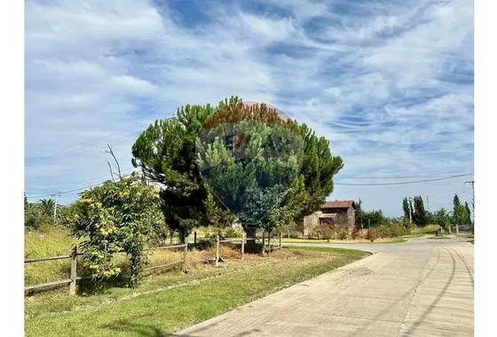 Venta De Parcelas Urbanizadas En Olivar.