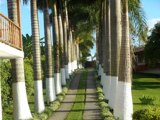Venta Finca/hotel Sur Armenia Quindio Cod: 2733367