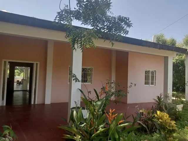 Granja Para Criar Cochinos En El Zulia