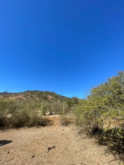 Parcela 5.000 M²en Culiprán, Entorno Natural, Ideal Proyecto