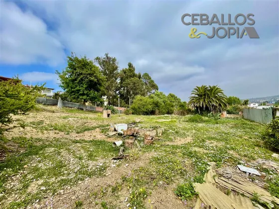 Sitio En Arriendo En Quilpué