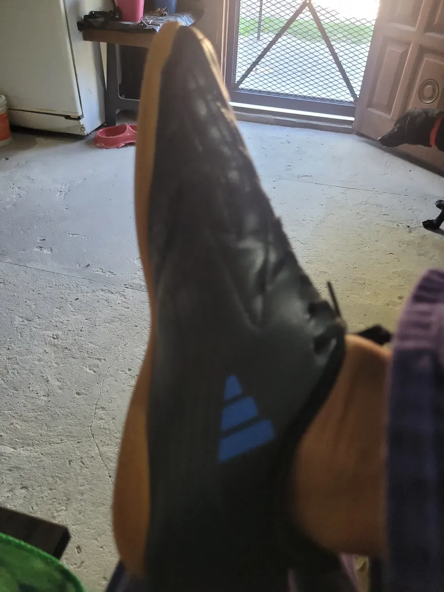 Adiestramiento404817161518458880