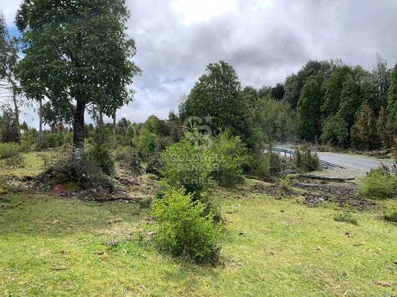 Cercana A Río, Orilla De Camino.