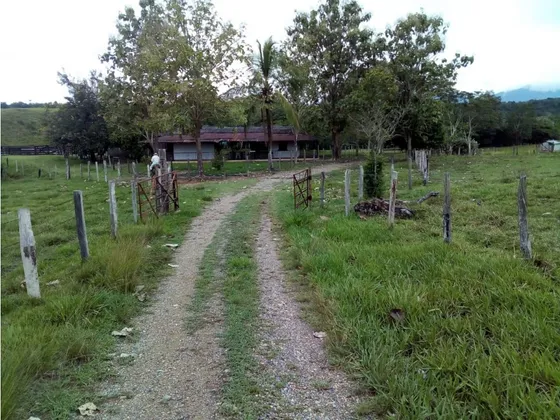 Se Vende Finca Ganadera En Puerto Boyacá  