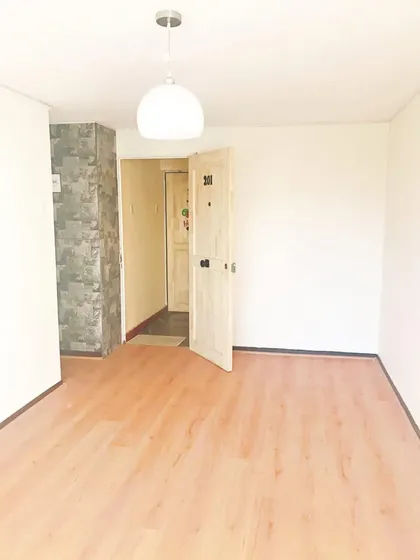 Departamento Remodelado En Ñuñoa