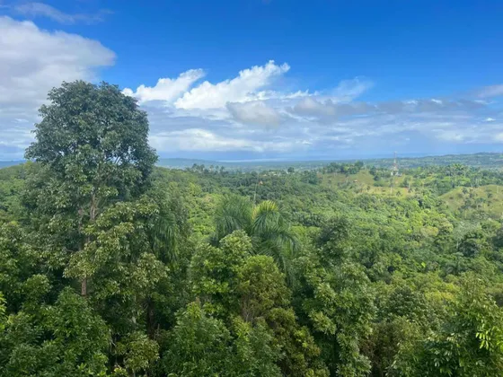Título Deslindado
