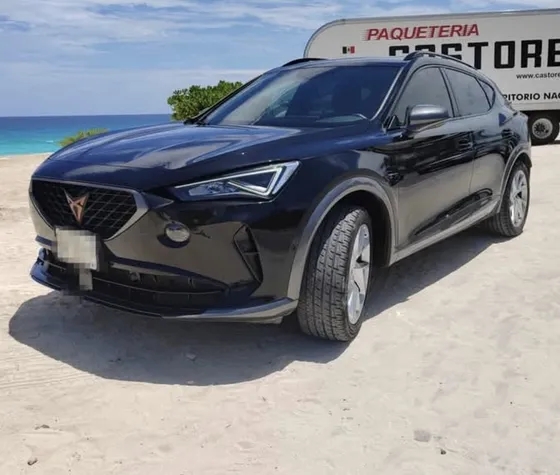 Cupra Formentor 2.0 Mid 190hp 2wd Dsg7
