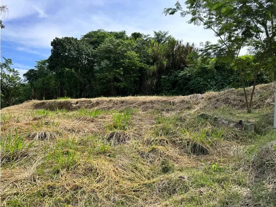 Venta De Lote En Santagueda