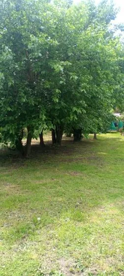 Terreno En Venta - 446,25mts2 - Manuel B. Gonnet