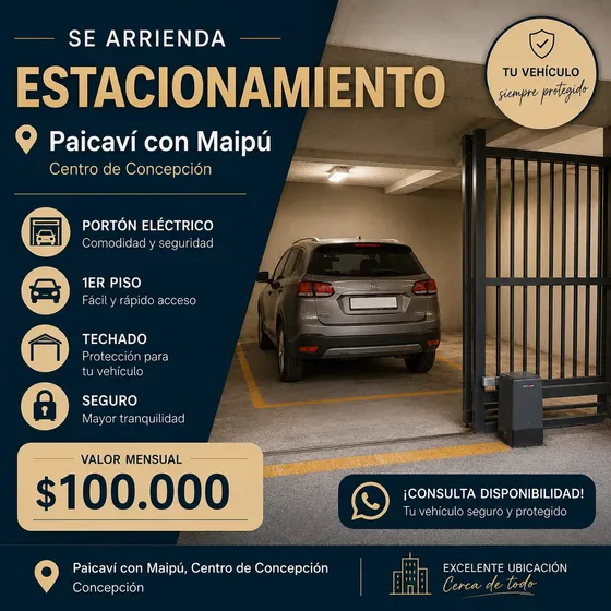 Estacionamiento Centro Concepción - Paicavi Con Maipu