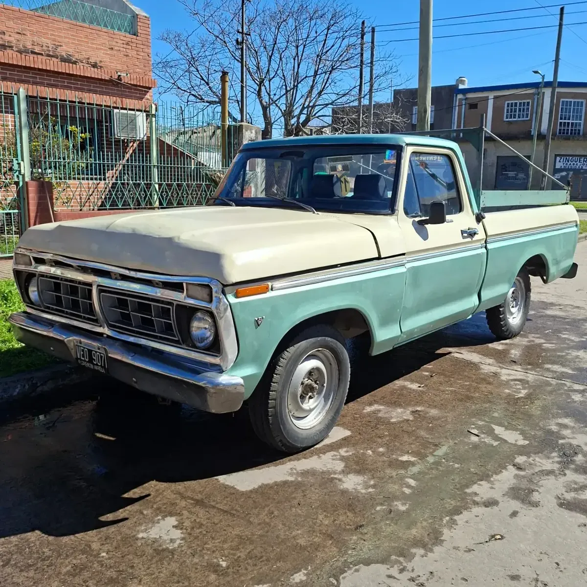 Ford F100