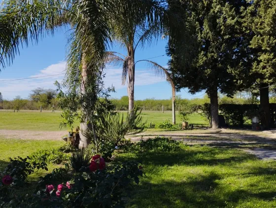 Venta O Permuta Financiacion Casa De Campo 3000 M2 Chacra A 1km De Ruta Provincial 12
