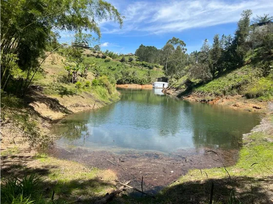 Lote Comercial Sector La Palestina En El Peñol