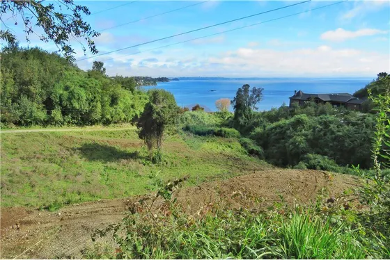 Maravillosa Parcela Con Vista Y Bajada Al Lago