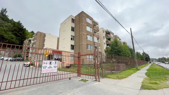 Departamento En Condominio Terrazas De Collao Ii