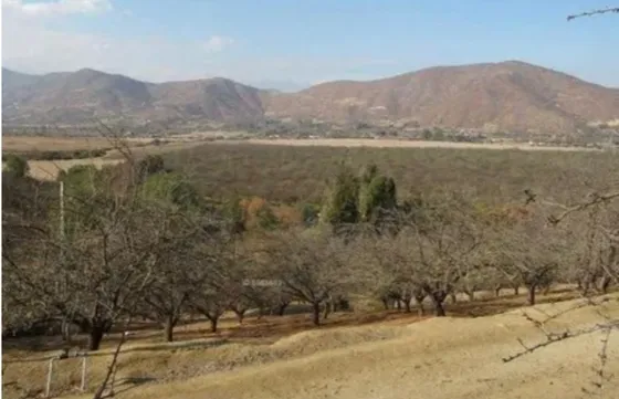 Curacavi, Venta Terrenos Agricolas Encanto