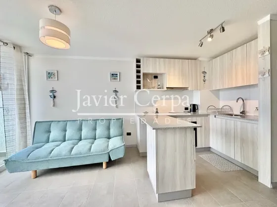 Departamento Ejecutivo A Pasos De Av Del Mar