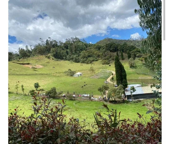 Venta Finca Zipacon  De 17,3  Héctareas