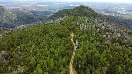 Campo En Purranque De 345 Hectáreas Ideal Para Conservación
