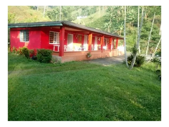 Venta Finca En Chinchina, Caldas