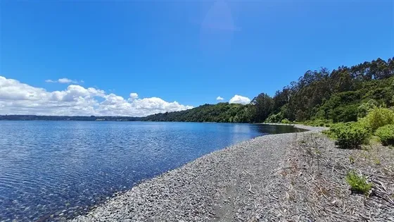 Fundo La Punta, Parcelas Con Playa En El Lago Llanquihue