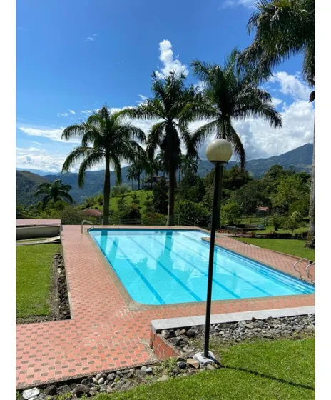 Venta Finca En Fredonia, Via  Puente Iglesias A Vereda Hoyo Frio