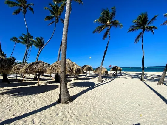 Beach Front Modern 1br - Priced To Sell!