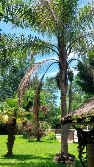  Cabañas Ayres Del Bosque  Laguna De Lobos