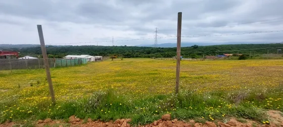 Se Vende Parcela De 5.000m2 En Campomar 7, Valle Alegre