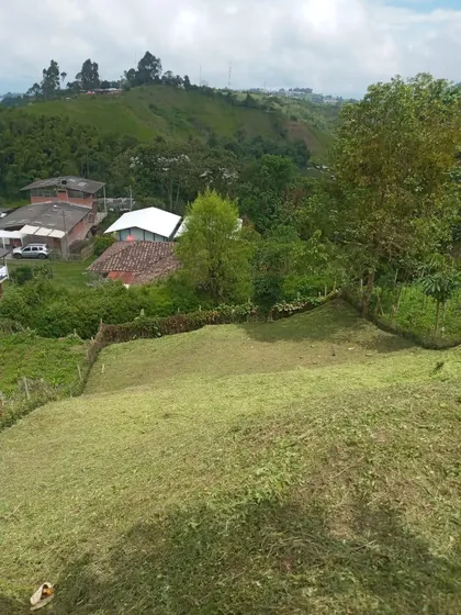 Lote N Venta En Villamaria (279060789).