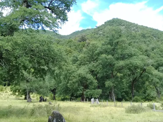 A 17 Km De Antuco / Rio Rucue/ Turistico Ganadero