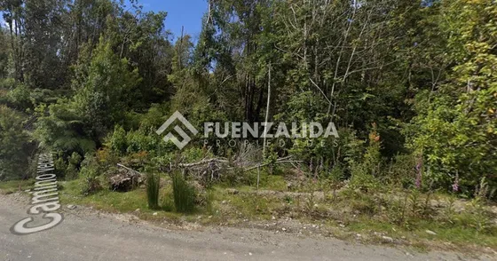 Sitio En Venta En Castro
