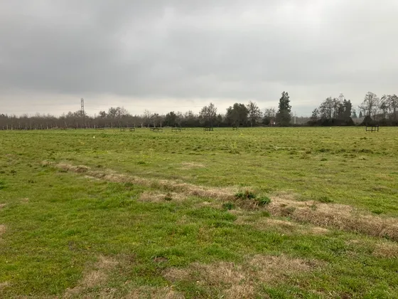 Venta De Campo Subdividido En Pirque Id 65.248-cam