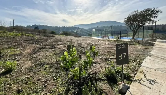 Se Venden Parcelas En Sector Las Gaviotas, Bosques Del Mauco