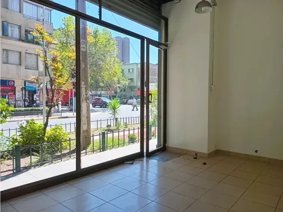 Local Comercial En Arriendo, Alto Flujo Peatonal, Santiago