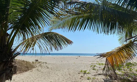 Terreno En Puerto Arista (playa)