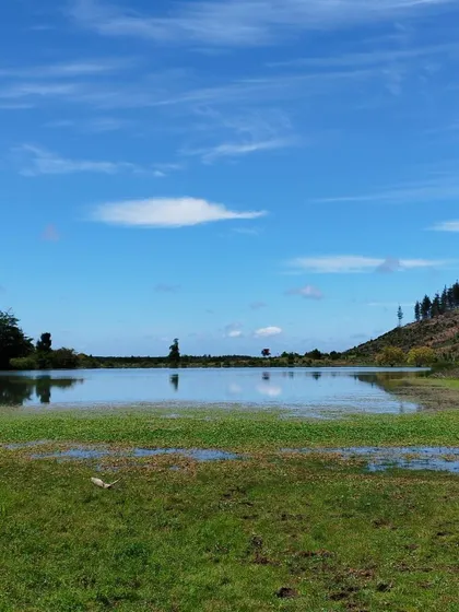 Con Año De Gracia- Pago Anual Campo Con Riego