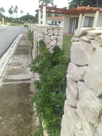 Villa En Cabrera De 517.62m².