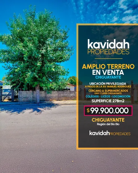 Amplio Terreno A Pasos De Av Manuel Rodriguez, Chiguayante