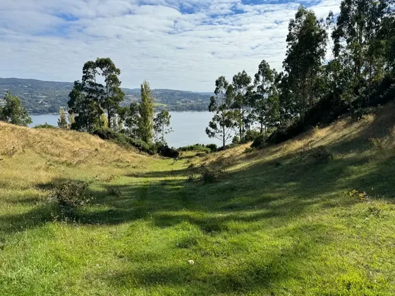 Parcela En Chiloé, Rilán Borde De Mar, Vista Y Playa.