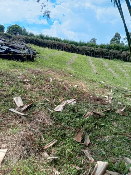 Lote En Venta Via Armenia/pereira (279062106).
